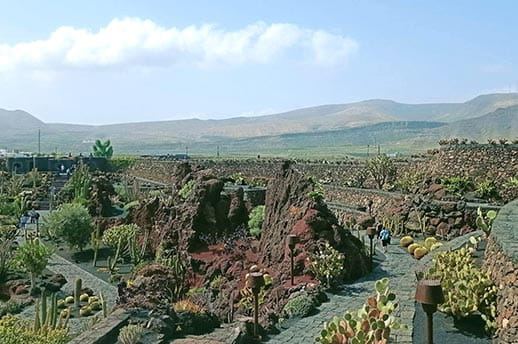 The cactus garden at the Cesar Manrique Foundation in Arrecife, on the island of Lanzarote, Canary Islands